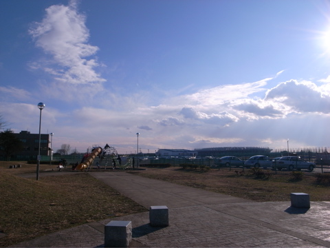 20090110osawa